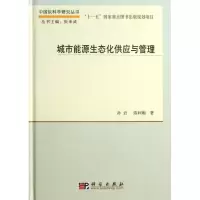 音像城市能源生态化供应与管理孙岩,陈利顺