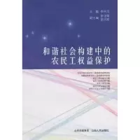 音像和谐社会构建中的农民工权益保护李中元主编