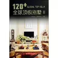 音像120+顶别墅:Ⅱ:Ⅱ未来文化,海阅通文化主编