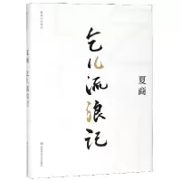 音像乞儿流浪记(精)/夏商小说系列夏商