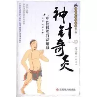 音像针灸:中医经络疗法解读严晋,姚丽芬著