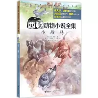 音像小战马