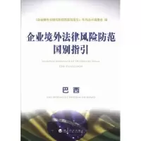 音像企业境外法律风险防范国别指引:巴西本社