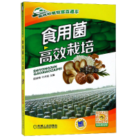音像食用菌高效栽培/高效种植致富直通车编者:国淑梅//牛贞福