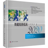 音像青藏高原低涡切变线年鉴 2020作者