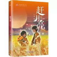 音像赶月亮王如