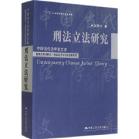 音像刑法研究赵秉志著