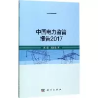 音像中国电力监管报告:2017郭琎,郑新业著