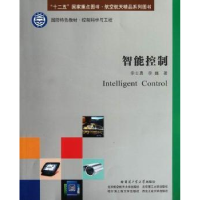 音像智能控制李士勇,李巍著