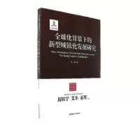 音像全球化背景下的新型城镇化发展研究武岩