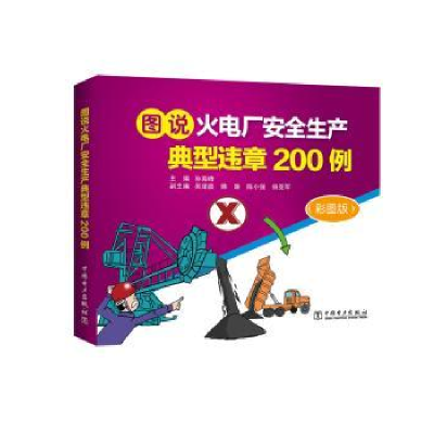 音像图说火电厂安全生产典型违章200例(彩图版)孙海峰主编