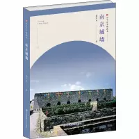 音像南京城墙杨国庆