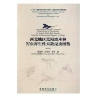 音像西北地区荒漠灌木林害虫寄生天敌昆虫图鉴盛茂领,孙淑萍,李涛