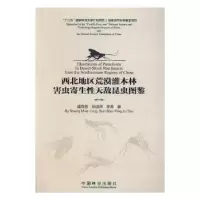 音像西北地区荒漠灌木林害虫寄生天敌昆虫图鉴盛茂领,孙淑萍,李涛