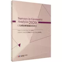 音像几何分析综述2020(英文版)田刚