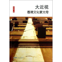 音像大近视:香港文化蒙太奇袁兆昌