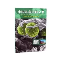 音像身边的数理化/中国儿童百科全书编者:中国儿童百科全书编委会