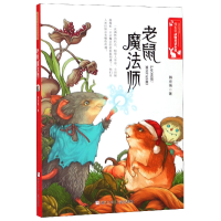 音像老鼠魔法师/韩宏蓓动物童话小说韩宏蓓