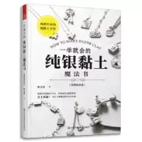 音像一学就会的纯银黏土魔法书(视频教学版)林文靖