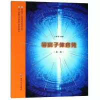 音像等离子体自传(第2版)编者:沙振舜