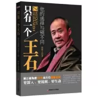 音像只有一个王石陆新之著