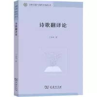 音像诗歌翻译论王东风