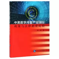 音像中美数字内容产业版权政策与法律制度比较孙那