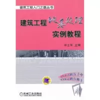 音像建筑工程地基处理实例教程辛士军主编