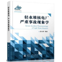 音像轻水堆核电厂严重事故现象学苏光辉
