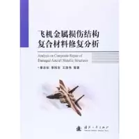 音像飞机金属损伤结构复合材料修复分析穆志韬[等]著