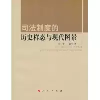 音像司法制度的历史样态与现代图景冯军,丁建军著