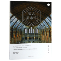 音像私人美术馆/龙现代艺术研究丛书魏莱//罗兰舟