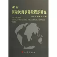 音像现行国际民商事诉讼程序研究李双元