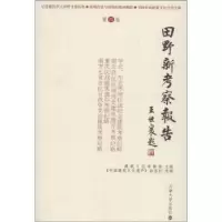音像田野新考察报告:第四卷金磊,刘志雄主编