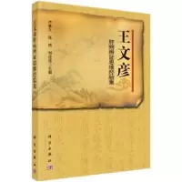 音像王文彦肝病辨思维经验集卢秉久,张艳,郑佳连主编