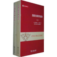 音像美国民事诉讼法(美)理杰德·D.弗里尔著