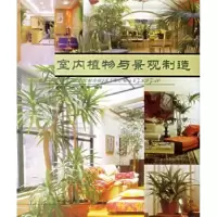 音像室内植物与景观制造吴方林,何小唐