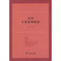 音像中国专利案例精读罗东川