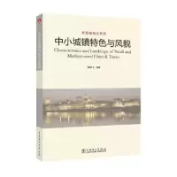 音像中小城镇特色与风貌韩林飞编著