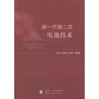 音像新一代锂二次电池技术谢凯[等]编著