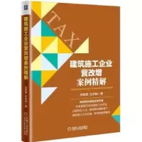 音像建筑施工企业营改增案例精解庄粉荣 庄亦如 著