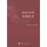 音像涡流热成像检测技术潘孟春,何赟泽,陈棣湘编著
