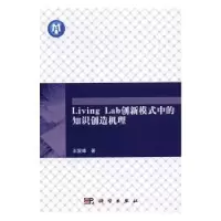 音像Living Lab创新模式中的知识创造机理王爱峰