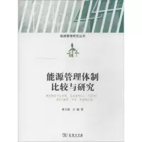 音像能源管理体制比较与研究林卫斌