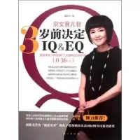 音像京文育儿智:3岁前决定I&E赵京文著