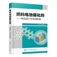 音像燃料电池催化剂——结构设计与作用机制陈鑫