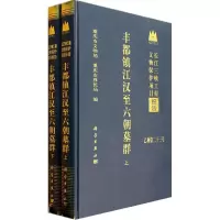 音像丰都镇江汉至六朝墓群(上下册)重庆市文化遗产研究院