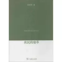 音像农民的鼎革赵树凯