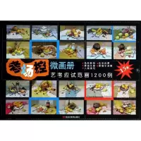 音像考场控.微画册冉亮