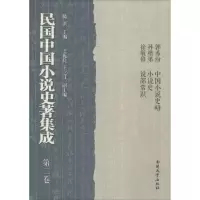 音像民国中国小说史著集成陈洪 主编